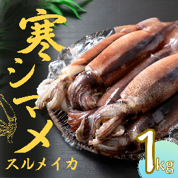 【ふるさと納税】旨味たっぷり！旬の朝どれ寒シマメ（スルメイカ）丸ごと5本（1kg〜1.25kg）＜便利な個包装＞