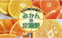 【ふるさと納税】 【ふるさと納税】【6か月定期便】6種のみかんが楽しめる♪みかんの定期便/みかん 定期便 和歌山 