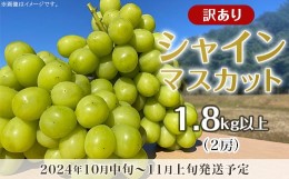 【ふるさと納税】【訳あり】シャインマスカット 2房（1.8kg以上）【2024年10月中旬〜11月上旬発送予定】（星のさと・ぶどう工房）