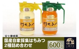 【ふるさと納税】国産自家採集はちみつ2種詰め合わせ（アカシア、りんご）計2本 600g