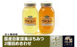 【ふるさと納税】国産自家採集はちみつ2種詰め合わせ（アカシア、トチ） 計6本 7.2kg