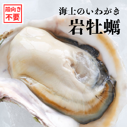 【ふるさと納税】【殻剥き不要】ブランド岩牡蠣「春香」殻なし巨大3Lサイズ×5個（1.6kg〜2kg）