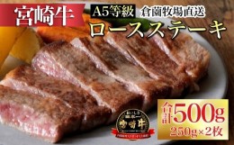 【ふるさと納税】【C169・百名店の味をご自宅で！】A5等級宮崎牛ロースステーキ　250ｇ×2枚