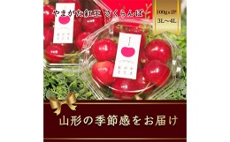 【ふるさと納税】やまがた紅王 さくらんぼ 3L〜4L100g×2パック入 【2024年6月から発送】 FSY-1165