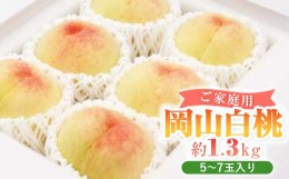 【ふるさと納税】岡山白桃(ご家庭用)5〜7玉入り　＜2024年7月頃より発送予定＞ TY0-0318