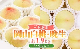 【ふるさと納税】岡山白桃・晩生(ご家庭用)6〜9玉入り＜2024年8月頃より発送予定＞ TY0-0319