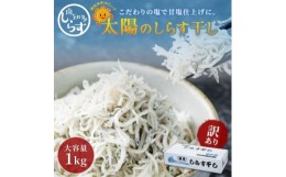 【ふるさと納税】「太陽のしらす干し」 訳あり しらす干し 1kg 愛知県産 箱入　冷凍