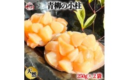 【ふるさと納税】岬だよりの＜貝専門店＞天然の青柳小柱　250g×2袋