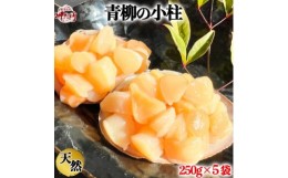 【ふるさと納税】岬だよりの＜貝専門店＞天然の青柳小柱　250g×5袋