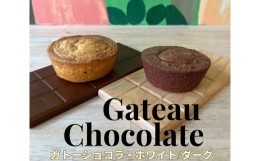 【ふるさと納税】チョコレート専門店「濃厚ガトーショコラ2種 (各2点) 計4点」｜スイーツ デザート 菓子 お菓子 洋菓子 贈り物 ギフト プ