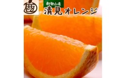 【ふるさと納税】＜2月より発送＞厳選 清見オレンジ1.5kg+45g（傷み補償分）