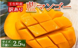 【ふるさと納税】《先行受付》訳あり 壬生町産藍マンゴー 2.5kg サイズ不揃い マンゴー フルーツ 果物 くだもの 国産 栃木県 壬生町※202