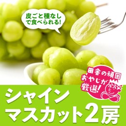 【ふるさと納税】田舎の頑固おやじが厳選！シャインマスカット2房【令和6年8月から順次お届け】 [BI55-NT]