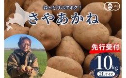 【ふるさと納税】【先行予約】【2024年12月より配送】北海道十勝芽室町 さやあかね ２Lサイズ 10kg me049-005c-24