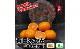 【ふるさと納税】▼わけあり有田みかん約5kg（サイズ混合S〜L）※2024年12月上旬〜12月下旬頃順次発送予定 【ymk004-5-c】