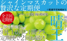 【ふるさと納税】ぶどう 2024年 先行予約 9月・10月発送 シャイン マスカット 晴王 2房（合計約1kg） ブドウ 葡萄  岡山県産 国産 フルー