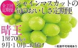 【ふるさと納税】ぶどう 2024年 先行予約 9月・10月発送 シャイン マスカット 晴王 1房 約700g ブドウ 葡萄  岡山県産 国産 フルーツ 果