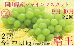 【ふるさと納税】ぶどう 2024年 先行予約 9月・10月発送 シャイン マスカット 晴王 2房（合計約1.1kg） ブドウ 葡萄  岡山県産 国産 フル