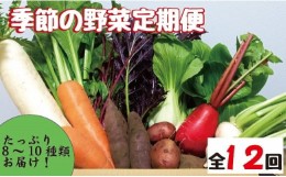 【ふるさと納税】【野菜の定期便】こばやし季節の野菜詰め合わせセット　全12回