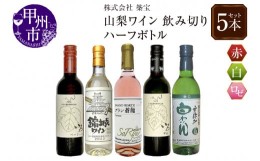 【ふるさと納税】山梨のワイン飲み切りハーフボトル5本セット（CKH）B18-770