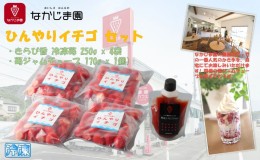 【ふるさと納税】ひんやりイチゴ セット (きらぴ香 冷凍苺 250g 4袋, 苺ジャム チューブ 170g 1個) 冷凍 なかじま園 自宅で かき氷 パフ