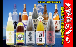 【ふるさと納税】No.10004 大隅蔵めぐり　飲み比べ一升瓶10本セット