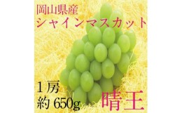 【ふるさと納税】ぶどう 2024年 先行予約 シャイン マスカット 晴王 1房 約650g  ブドウ 葡萄  岡山県産 国産 フルーツ 果物 ギフト [No.