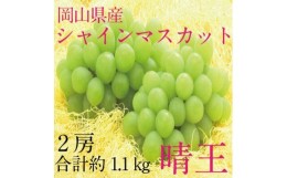 【ふるさと納税】ぶどう 2024年 先行予約 シャイン マスカット 晴王 2房（合計約1.1kg） ブドウ 葡萄  岡山県産 国産 フルーツ 果物 ギフ