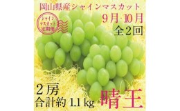 【ふるさと納税】【定期便 全2回】ぶどう 2024年 先行予約 9月・10月発送 シャイン マスカット 晴王 2房（合計約1.1kg） ブドウ 葡萄  岡