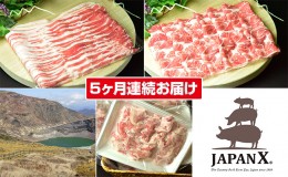 【ふるさと納税】定期便 5ヶ月 JAPAN X 豚肉 3種 2mm スライス セット 2.8kg ( バラ 肩ロース 小間 )