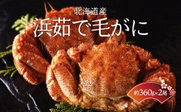 【ふるさと納税】＜北海道産＞浜茹で毛がに【360g×2尾】（網走加工） ABC015