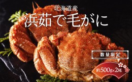 【ふるさと納税】【数量限定】＜北海道産＞浜茹で毛がに【約500g×2尾】（網走加工） ABC016