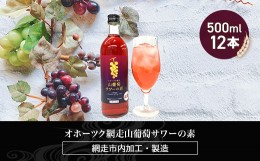 【ふるさと納税】オホーツク網走山葡萄サワーの素 500ml×12本入り（網走市加工・製造） ABH051