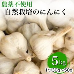 【ふるさと納税】【2024年産 予約】にんにく 5kg 京都府・亀岡産 自然栽培のかたもとオーガニックファームよりお届け※離島への発送不可