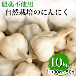 【ふるさと納税】【2024年産 予約】にんにく 10kg 京都府・亀岡産 自然栽培のかたもとオーガニックファームよりお届け※離島への発送不可