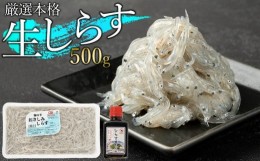 【ふるさと納税】訳アリ　厳選生しらす　500g　おさしみしらす