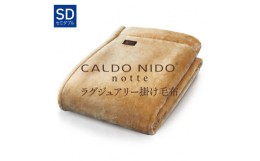 【ふるさと納税】CALDO NIDO notte3 掛け毛布 セミダブル ベージュ (160×200cm)｜上質な眠り 感動の肌触り なめらかな光沢 極上の暖かさ