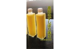 【ふるさと納税】実生ゆずしぼり　300ml×2本