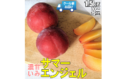 【ふるさと納税】5-192 クール便　収穫当日に発送　プラム　サマーエンジェル　1.5kg　10〜12玉