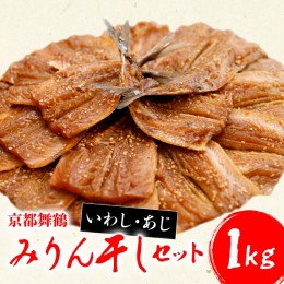 【ふるさと納税】干物 いわし あじ みりん干し セット 鰯 鯵 ひもの 詰め合わせ 500g ずつ 冷凍 合計 1kg 1キロ 10000円 魚類 一万円 京