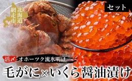 【ふるさと納税】毛ガニ オホーツク流氷明けの活〆毛がにといくら醤油漬けセット ABAO023