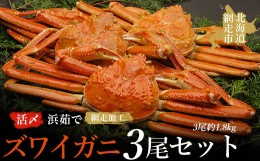 【ふるさと納税】活〆浜茹でズワイガニ冷凍3尾セット（網走加工） ABAO1004