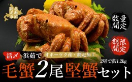 【ふるさと納税】【期間限定・数量限定】美味活〆浜茹で毛蟹2尾「堅蟹」セット（オホーツク海産・網走加工） ABAO2160