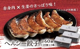 【ふるさと納税】ヘルシー餃子セット60個(20個×3箱)【1468732】