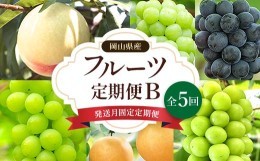 【ふるさと納税】＜発送月固定定期便＞岡山県産 フルーツ定期便B全5回 TY0-0432