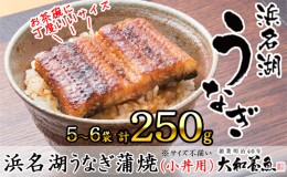 【ふるさと納税】浜名湖うなぎ蒲焼（小丼用）計250g 【訳あり】サイズ不揃い5〜6袋