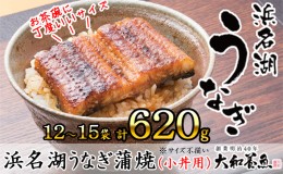 【ふるさと納税】浜名湖うなぎ蒲焼（小丼用）計620g 【訳あり】サイズ不揃い12〜15袋