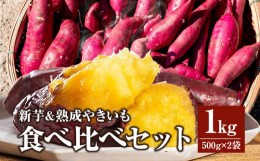 【ふるさと納税】新芋＆熟成やきいもの食べ比べセット1？_M086-011