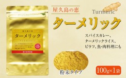 【ふるさと納税】屋久島の恵 ターメリック 100g×1袋（粉末タイプ）