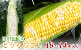 【ふるさと納税】田中農園のとうもろこし（10〜14本入り）